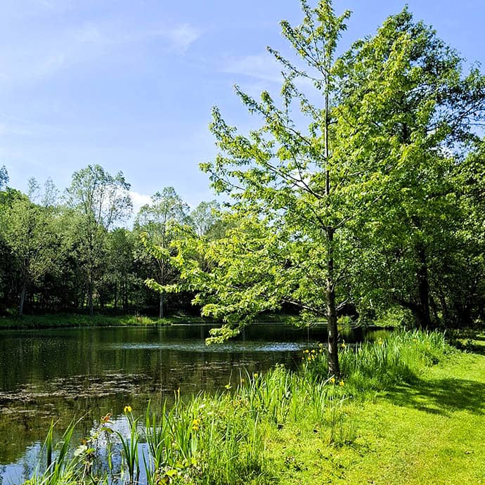 Alresford Hall - Sensory Reception - Outdoor Wedding - Camellio Wedding Planning and Events - Essex Wedding Planner