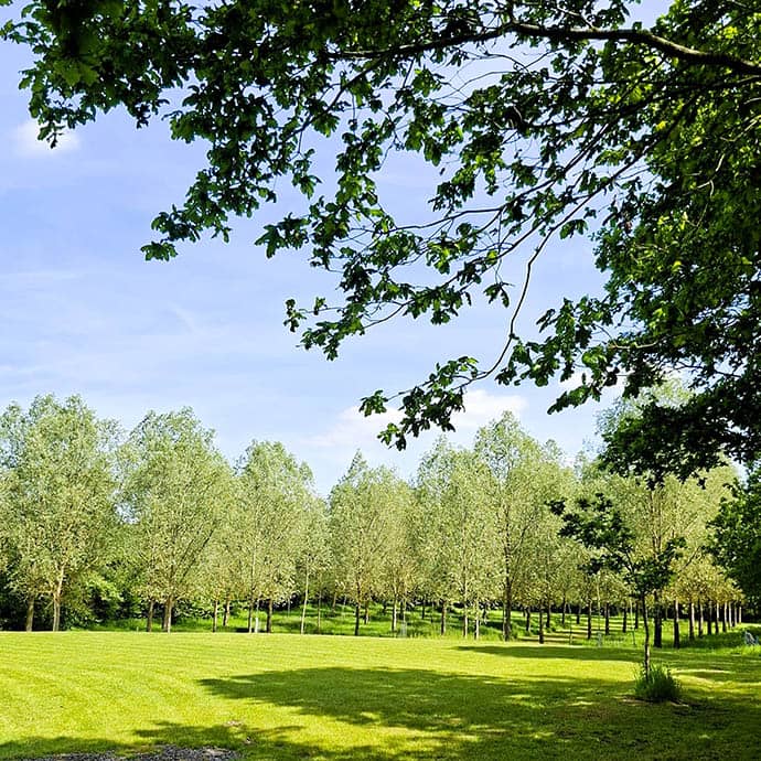 Alresford Hall - Sensory Reception - Outdoor Wedding - Camellio Wedding Planning and Events - Essex Wedding Planner