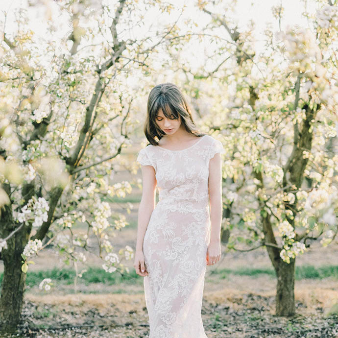 The Ultimate Guide to Seasonal Wedding Planning and Styling: Design, Canvas, and Logistics