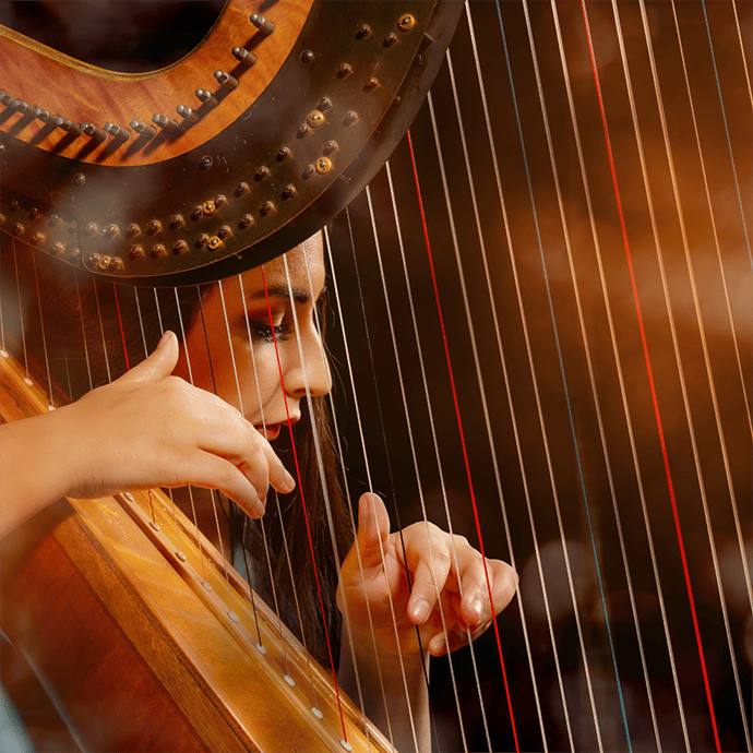 Live musuc string quartet wedding music entertainment - Camellio Wedding Planning and Events - Essex Wedding Planner